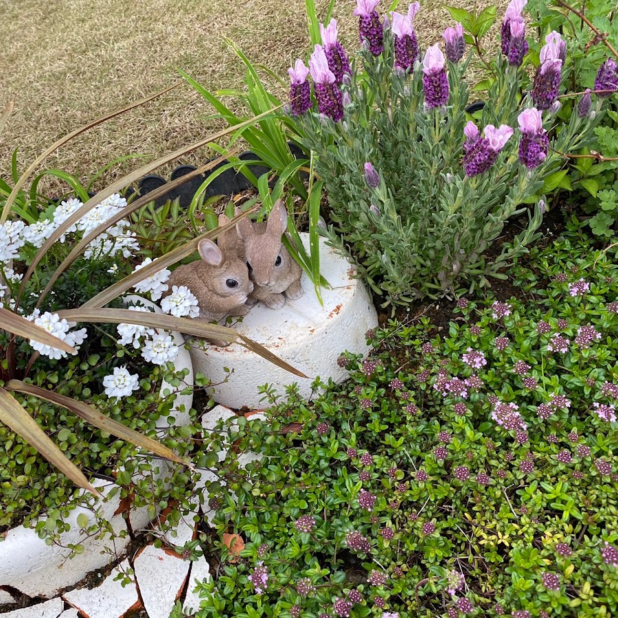 Ozachan Channel Youtube