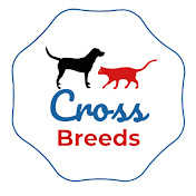 Cross Breeds