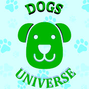 Dogs Universe