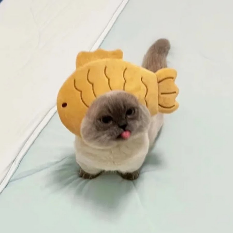 Игра царь горы зимой