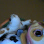 Critter Jam Central YouTube Profile Photo
