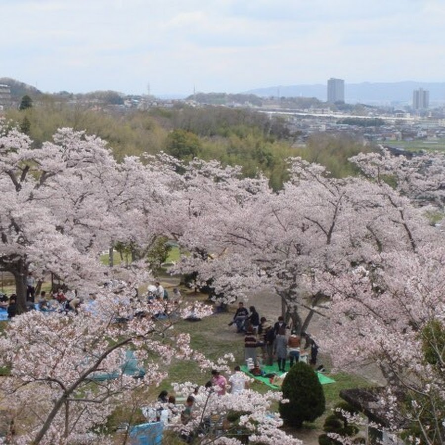 桜梅桃李倶楽部 宗教チャンネル Youtube