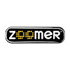 What could Zoomer buy with $100 thousand?