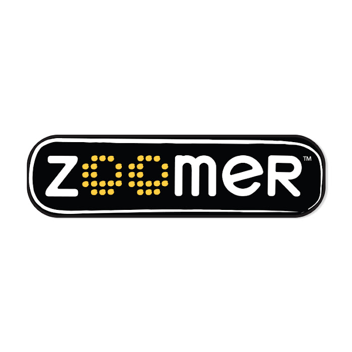Zoomer Net Worth & Earnings (2024)