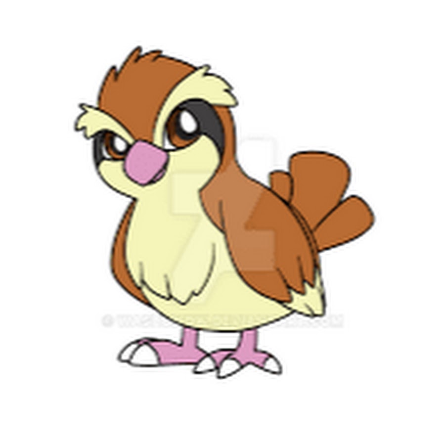 Последняя эволюция пиджи. Пиджи эволюция. Пиджи покемон эволюция. Пиджи 2. Пиджи покемон го.