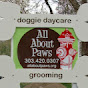 All About Paws YouTube Profile Photo