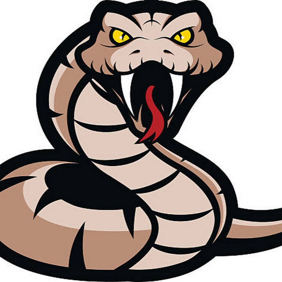 Snake aggressive logo