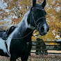 Lori Equestrian YouTube Profile Photo