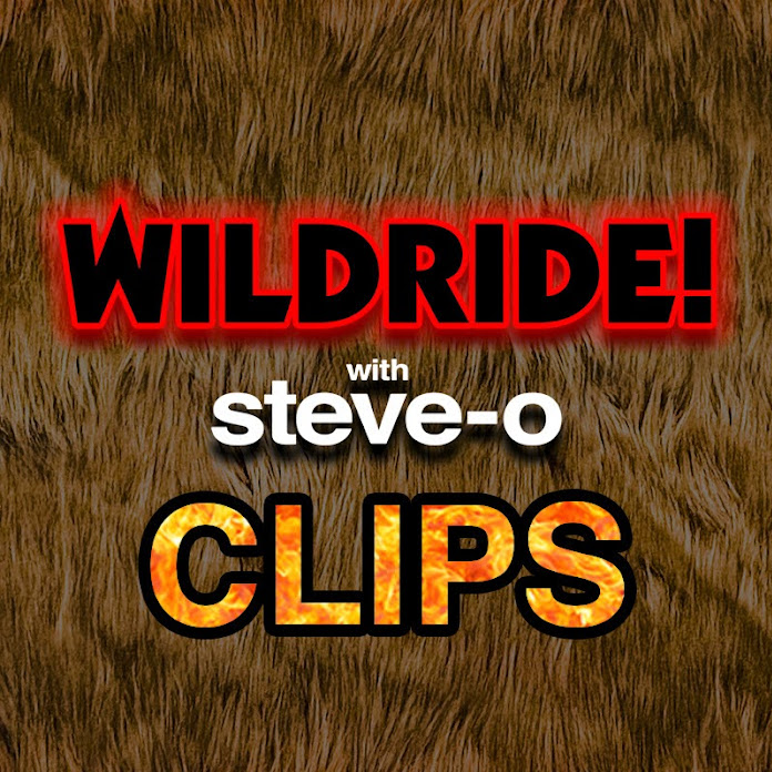 Steve-O's Wild Ride! - Clips Net Worth & Earnings (2024)