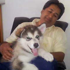 Thumbnail of related channel