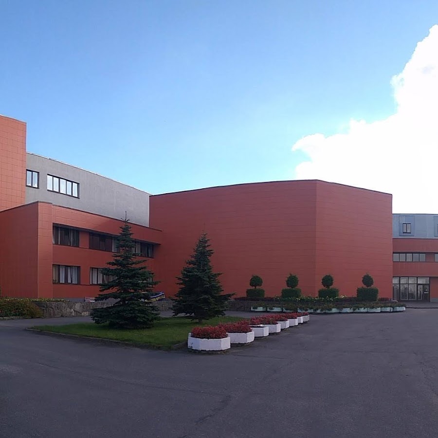 Институт им пушкина санкт петербург