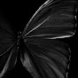 ◢PaperButterfly◤ - @SPaperButterfly YouTube Profile Photo