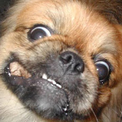 Thumbnail of related channel