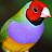 Tata Vladimirovna Avatar