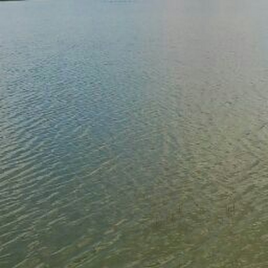 AMLnZu-I1RvAUzY6AtLABRkxebozUGi9lfAuwPCcFrWv-w=s900-c-k-c0x00ffffff-no-rj