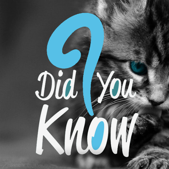 Did You Know Animals ? Net Worth & Earnings (2026)