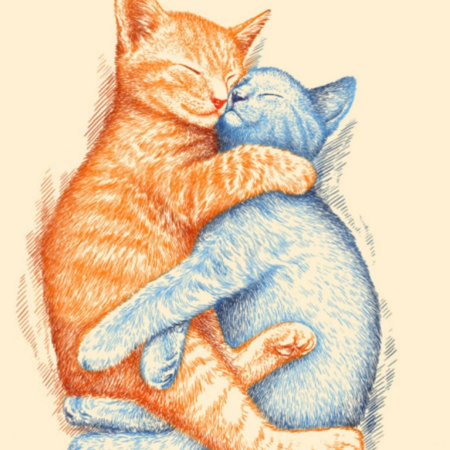 Котята в обнимку рисунок