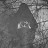carrion