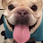 Redrod Johnson Avatar