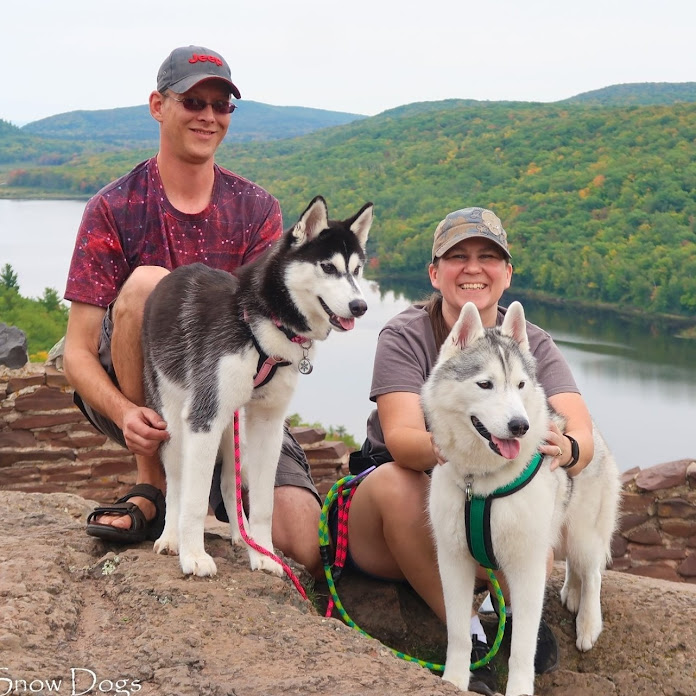 Snow Dogs Vlogs Net Worth & Earnings (2026)