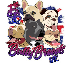 Thumbnail of related channel