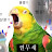 오늘도껄무새