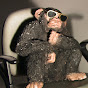 Film Chimp YouTube Profile Photo