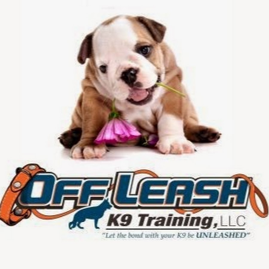 Off Leash K9 Training, Western Pennsylvania - YouTube