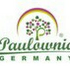 Paulownia Germany net worth
