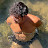 Joshua Ramirez Avatar