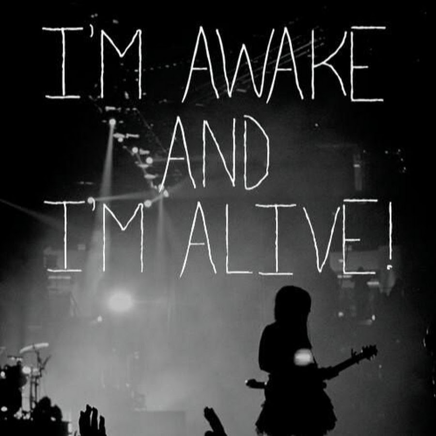 Hero skillet, альбом awake. Skillet awake and alive. группа skillet. группа skillet 2009. Skillet альбом awake.