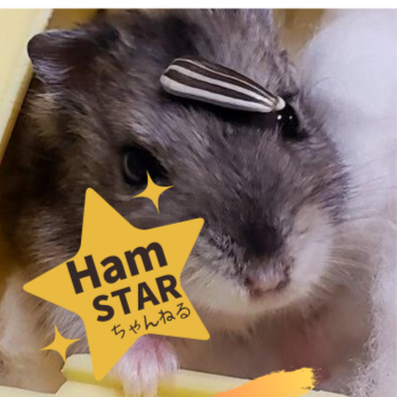 Ham Starちゃんねる