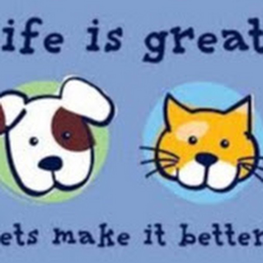 Общение с животными. Pets make your. Бигль собака. Pets make your. Питомник животных атланта.