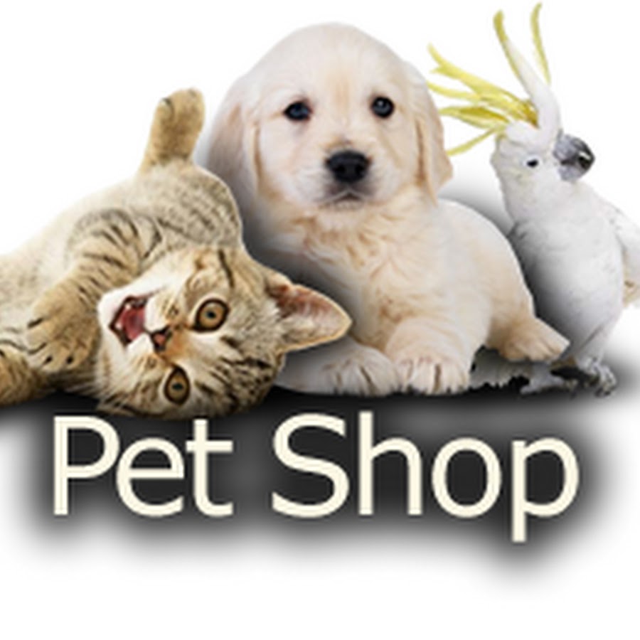 AMLnZuPOxOrfrCsH2Vug5RncUYZG0Zpx7X3AGRxj5aC=s900ckc0x00ffffffnorj