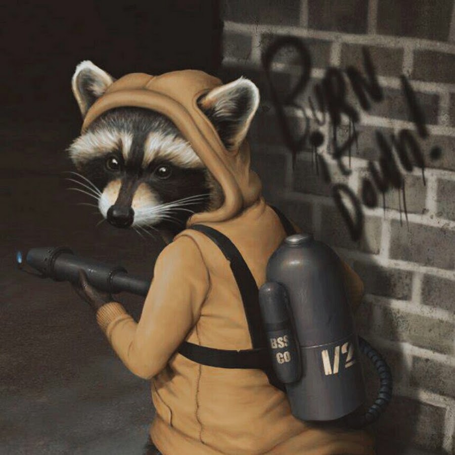 Боевой енот