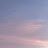 자몽
