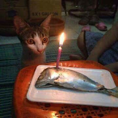 Thumbnail of related channel