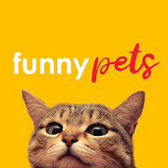 Life Funny Pets Channel icon