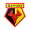 What could Watford FC buy with $100 thousand?