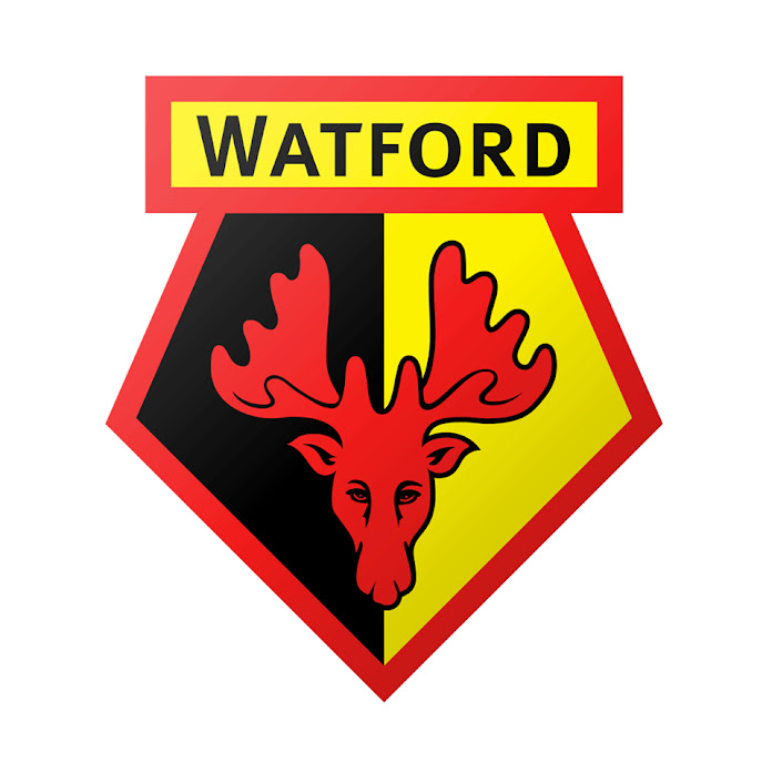 Watford FC Net Worth & Earnings (2024)