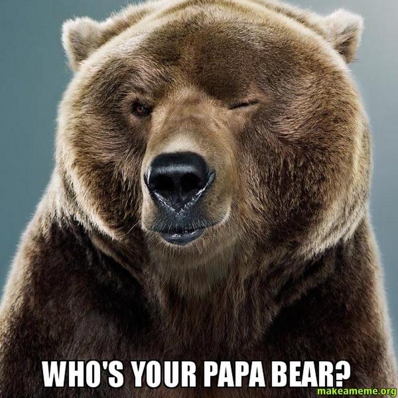 Official Papa Bear Videos