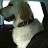 Remonster coolest Avatar