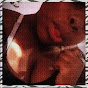 Viola Marshall YouTube Profile Photo