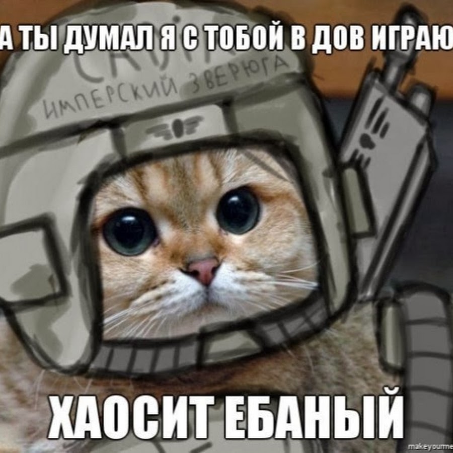 Имперская гвардия кот