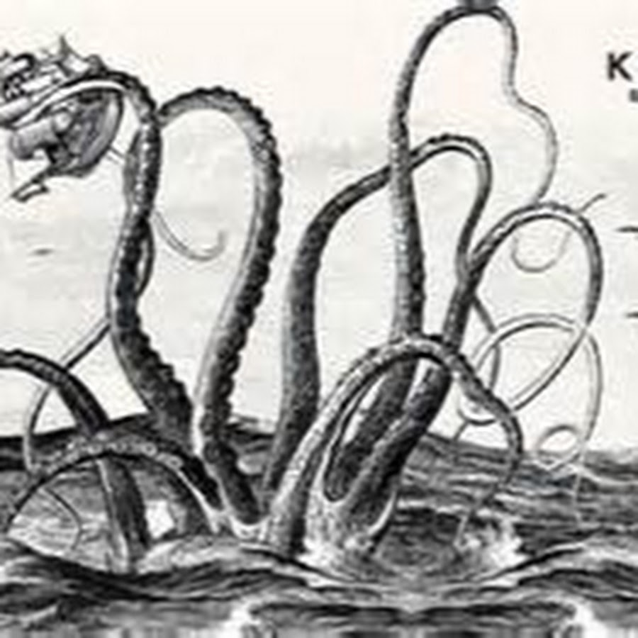 Кракен ссылка на сайт com. Кракен. Гигантский осьминог Кракен. Морское чудовище.. Кракен Морское чудовище. Ковид Кракен.