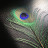 Jules Gardet Avatar