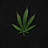 Max_ Vijju Avatar