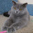 Mr_Andreyka _