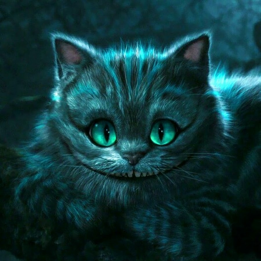 Кот чешир10