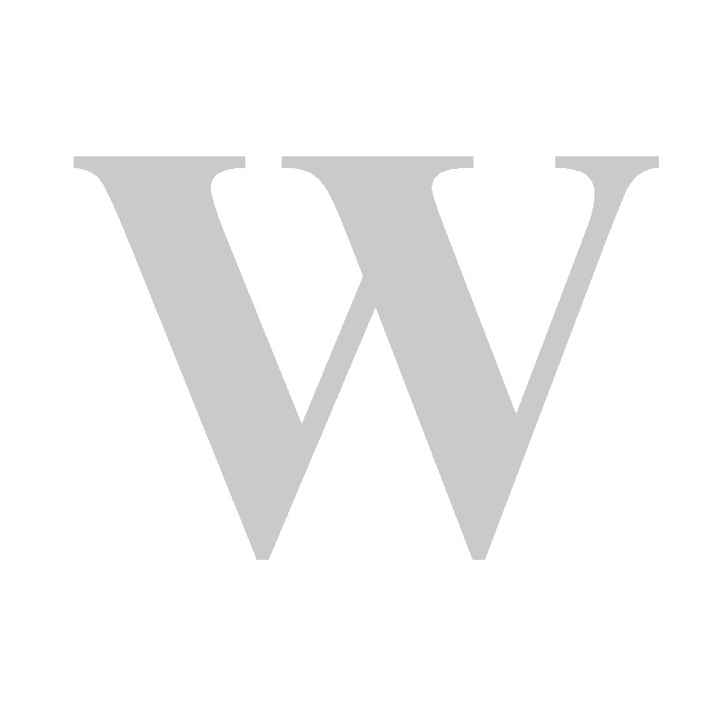 Website Team